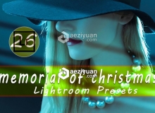 梦幻柔和圣诞节人像Lightroom预设 Christmas Lightroom Presets