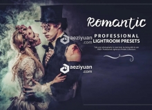 23组情绪浪漫人像摄影调色LR预设23 Romantic Lightroom Presets