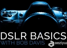 掌握你的数码单反相机视频培训课程 Introduction to DSLR Basics