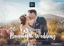 婚礼跟拍复古婚纱Lightroom预设 50 Pro Wedding Presets Collection