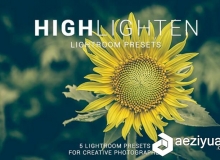 高亮度LR调色预设 Highlighten Lightroom Presets