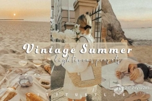 颗粒感电影胶卷Lightroom预设 Film Grain VINTAGE SUMMER Presets