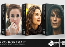 专业肖像Lightroom预设合集 Pro Portrait Lightroom Preset Bundle