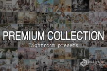 100+旅行,时尚,家庭人像lr预设大合集 Collection 100 Lightroom Presets