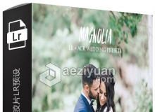 白玉兰富士400h婚礼胶片LR预设 Andrew Sun Color Magnolia Lightroom Presets